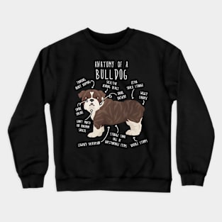 English Bulldog Brindle Dog Anatomy Crewneck Sweatshirt